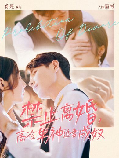 禁止離婚，高冷男神追妻成奴(全集)