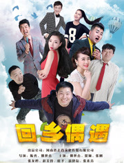 回鄉(xiāng)偶遇(全集)