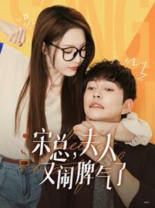 宋總，夫人又鬧脾氣了(全集)