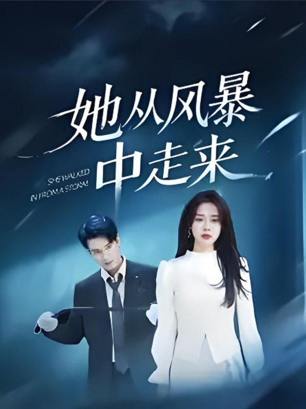 她從風暴中走來(全集)