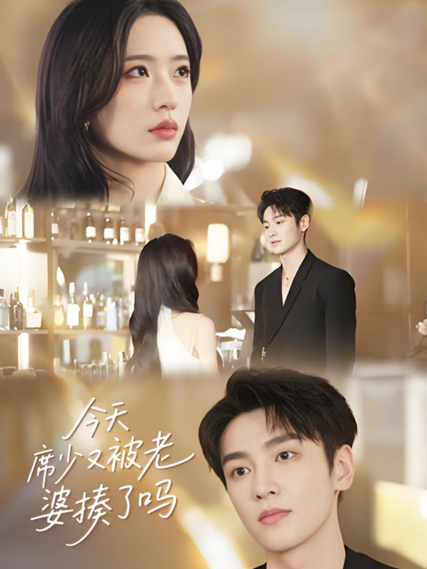 今天席少又被老婆揍了嗎(全集)