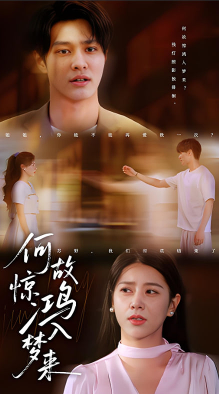 何故驚鴻入夢來(全集)