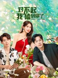 對(duì)不起，我磕到你了(全集)