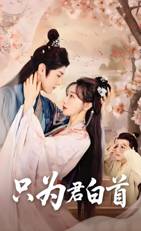 只為君白首(全集)