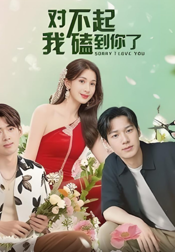 對不起我磕到你了(全集)